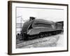 Mallard Locomotive-null-Framed Photographic Print