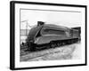 Mallard Locomotive-null-Framed Photographic Print