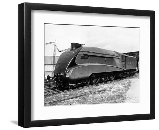 Photographic Print, , large