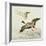 Mallard Taking Off from Marsh-Koson Ohara-Framed Giclee Print