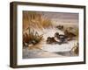 Mallard Widgeon and Snipe at the Edge of a Pool in Winter-Archibald Thorburn-Framed Giclee Print