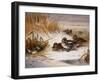 Mallard Widgeon and Snipe at the Edge of a Pool in Winter-Archibald Thorburn-Framed Giclee Print