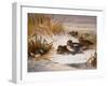 Mallard Widgeon and Snipe at the Edge of a Pool in Winter-Archibald Thorburn-Framed Giclee Print