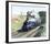 Mallard-Terence Cuneo-Framed Premium Giclee Print