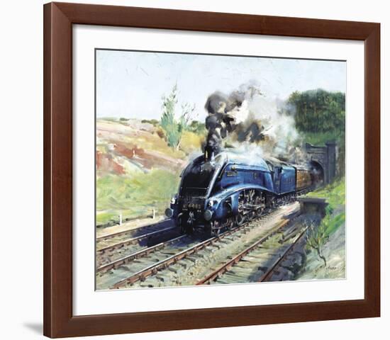 Mallard-Terence Cuneo-Framed Premium Giclee Print