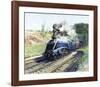 Mallard-Terence Cuneo-Framed Premium Giclee Print