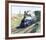 Mallard-Terence Cuneo-Framed Premium Giclee Print