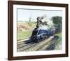 Mallard-Terence Cuneo-Framed Premium Giclee Print