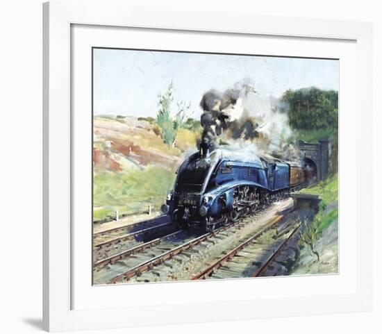 Mallard-Terence Cuneo-Framed Premium Giclee Print