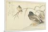 Mallards and a Kingfisher, 1790-Kitagawa Utamaro-Mounted Giclee Print