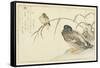 Mallards and a Kingfisher, 1790-Kitagawa Utamaro-Framed Stretched Canvas