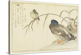 Mallards and a Kingfisher, 1790-Kitagawa Utamaro-Stretched Canvas