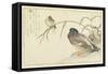 Mallards and a Kingfisher, 1790-Kitagawa Utamaro-Framed Stretched Canvas