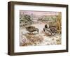 Mallards in a Quiet Corner-Carl Donner-Framed Giclee Print