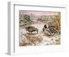 Mallards in a Quiet Corner-Carl Donner-Framed Giclee Print