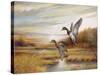 Mallards-Ruane Manning-Stretched Canvas