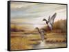 Mallards-Ruane Manning-Framed Stretched Canvas