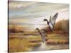 Mallards-Ruane Manning-Stretched Canvas