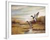 Mallards-Ruane Manning-Framed Premium Giclee Print