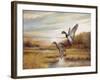 Mallards-Ruane Manning-Framed Premium Giclee Print