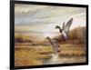 Mallards-Ruane Manning-Framed Art Print