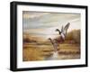 Mallards-Ruane Manning-Framed Art Print