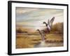 Mallards-Ruane Manning-Framed Art Print