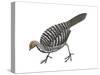 Mallee Fowl (Leipoa Ocellata), Birds-Encyclopaedia Britannica-Stretched Canvas