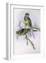 Mallee Ringneck (Platycercus or Barnardius Barnardi)-John Gould-Framed Premium Giclee Print