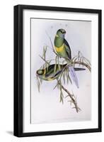 Mallee Ringneck (Platycercus or Barnardius Barnardi)-John Gould-Framed Giclee Print