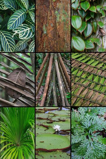 Premium Photographic Print, , large