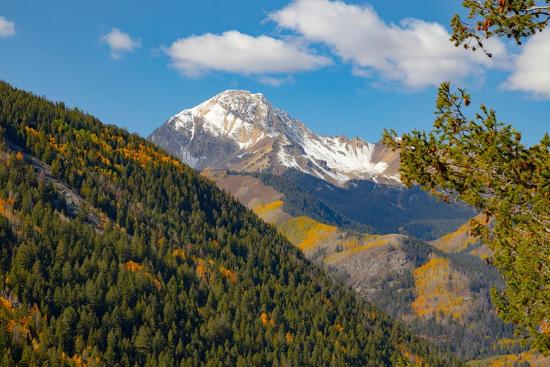Premium Photographic Print, , large
