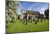 Malmesbury Abbey, Malmesbury, Wiltshire, England, United Kingdom, Europe-Stuart Black-Mounted Photographic Print