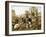 Malmesbury Market-H.C. Bryant-Framed Giclee Print