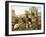 Malmesbury Market-H.C. Bryant-Framed Giclee Print