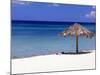 Malmok Beach, Aruba, Netherlands Antilles-Michael DeFreitas-Mounted Photographic Print