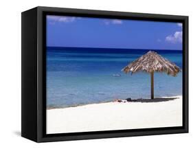 Malmok Beach, Aruba, Netherlands Antilles-Michael DeFreitas-Framed Stretched Canvas