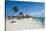 Malmuk Beac, Aruba, ABC Islands, Netherlands Antilles, Caribbean, Central America-Michael Runkel-Stretched Canvas