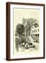 Brown Frame