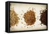 Malt Varieties-Jessica Rogers-Framed Stretched Canvas