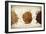 Malt Varieties-Jessica Rogers-Framed Giclee Print