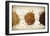 Malt Varieties-Jessica Rogers-Framed Giclee Print