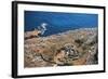 Malta, Megalithic Temples of Malta, Mnajdra, Temples, Aerial View-null-Framed Giclee Print