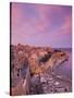 Malta, Valletta, City View from Upper Barrakka Gardens-Walter Bibikow-Stretched Canvas