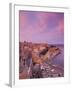 Malta, Valletta, City View from Upper Barrakka Gardens-Walter Bibikow-Framed Photographic Print