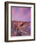 Malta, Valletta, City View from Upper Barrakka Gardens-Walter Bibikow-Framed Photographic Print