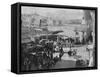 Malta, Valletta Fish 1897-null-Framed Stretched Canvas