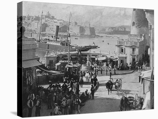 Malta, Valletta Fish 1897-null-Stretched Canvas