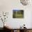 Maltese Cross Cabin, Theodore Roosevelt National Park, Medora, North Dakota, USA-Richard Cummins-Photographic Print displayed on a wall