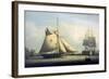 Maltese Cutter-Robert Salmon-Framed Giclee Print